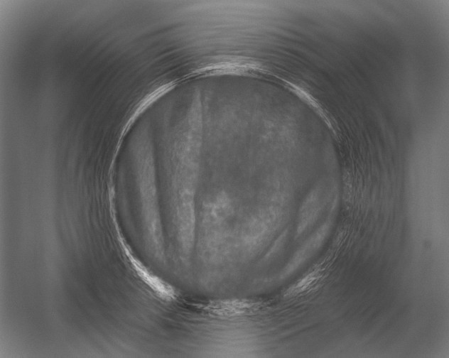 X0000052921042200507292321