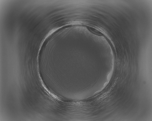 X0000052921045200507292321