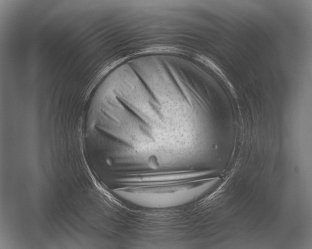 X0000052921049200507292321