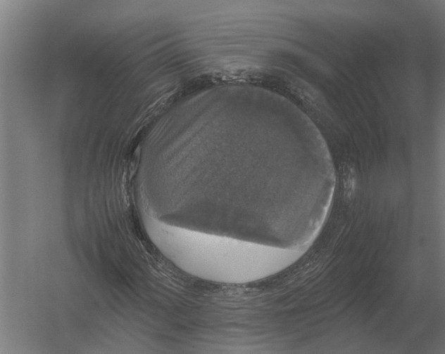 X0000052921060200507292320
