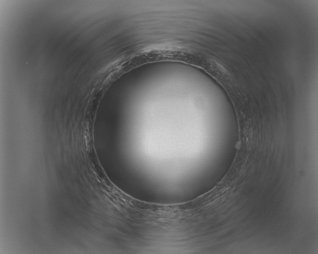 X0000052921062200507292320