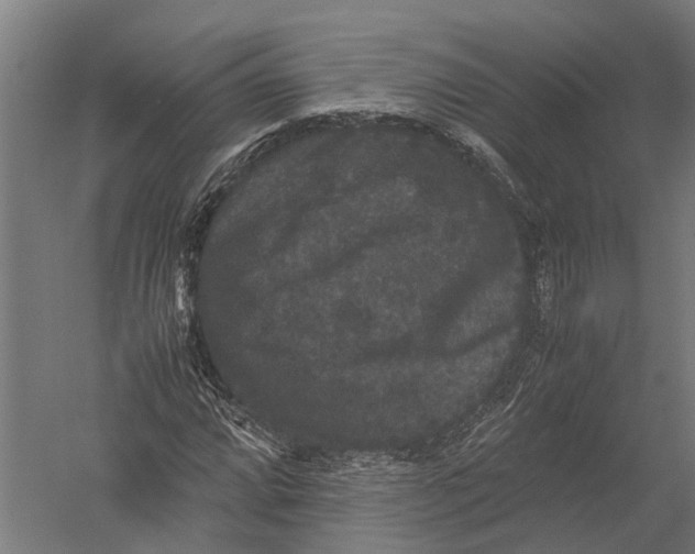 X0000052921064200507292320