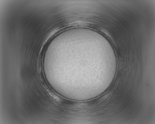 X0000052921075200507292320