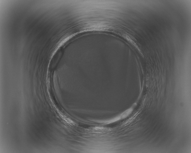 X0000052921077200507292320