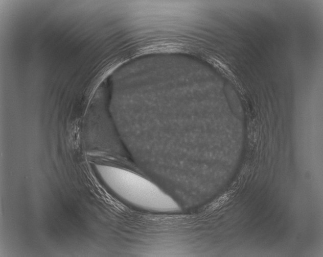 X0000052921081200507292320