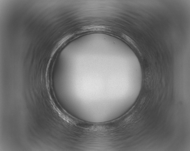 X0000052921082200507292320
