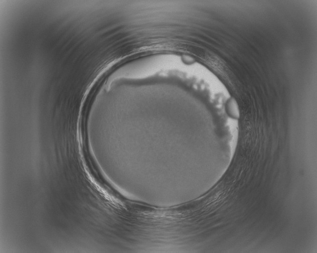 X0000052921084200507292320