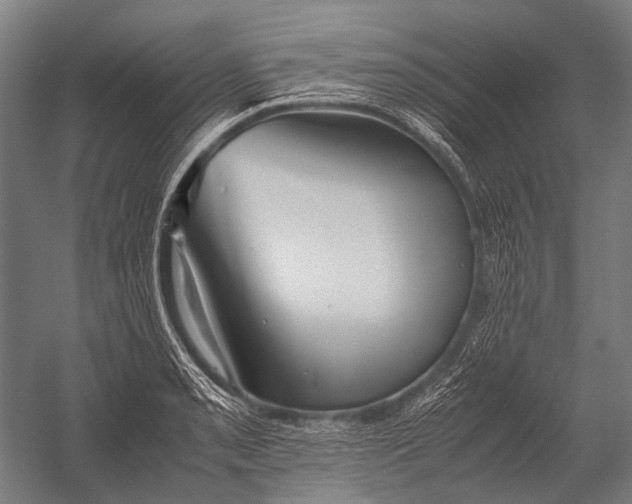 X0000052921085200507292320