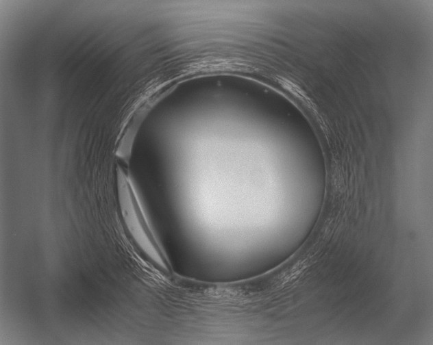 X0000052921089200507292320