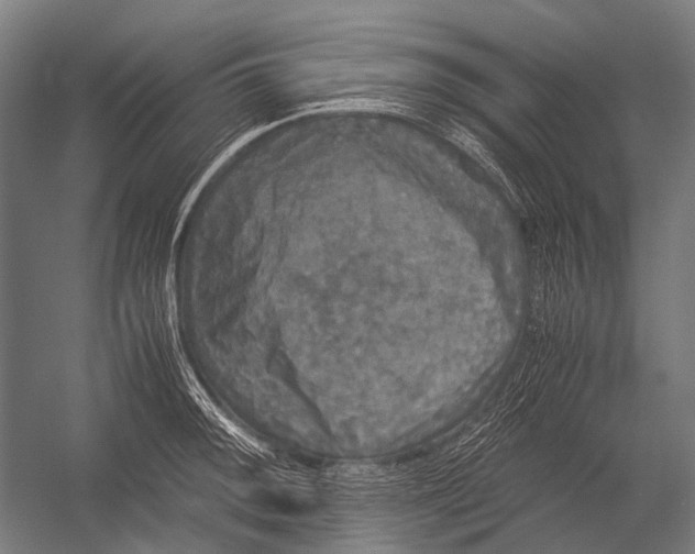 X0000052921092200507292319