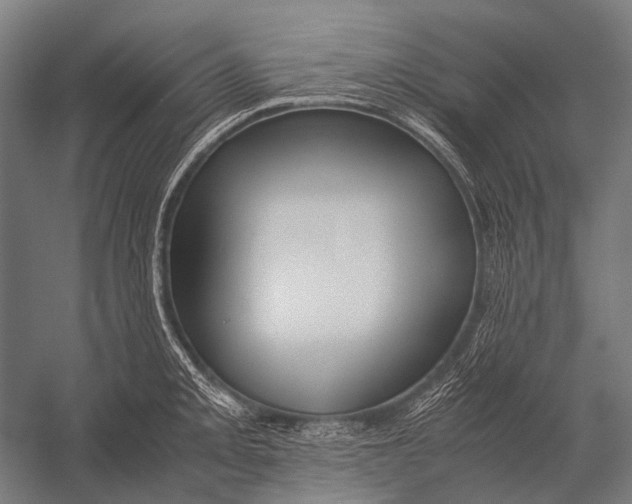 X0000052921093200507292319
