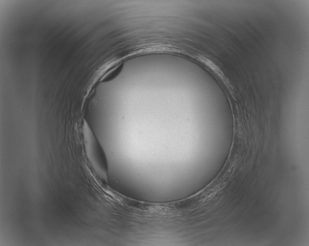 X0000052921097200507292319
