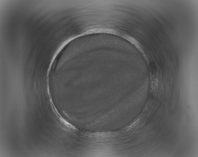 X0000052921102200507292319