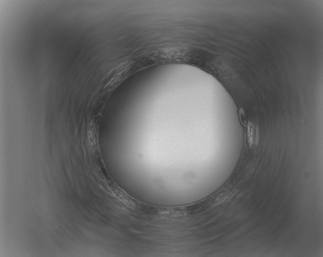 X0000052921107200507292318