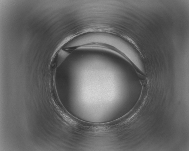 X0000052921114200507292319