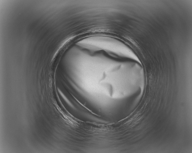X0000052921115200507292319