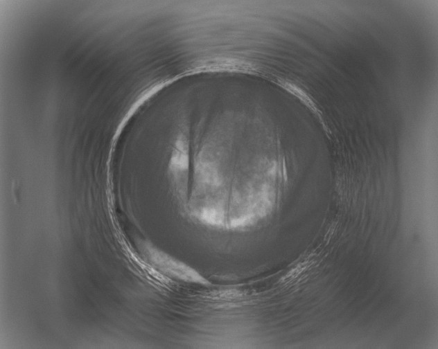 X0000052921120200507292319
