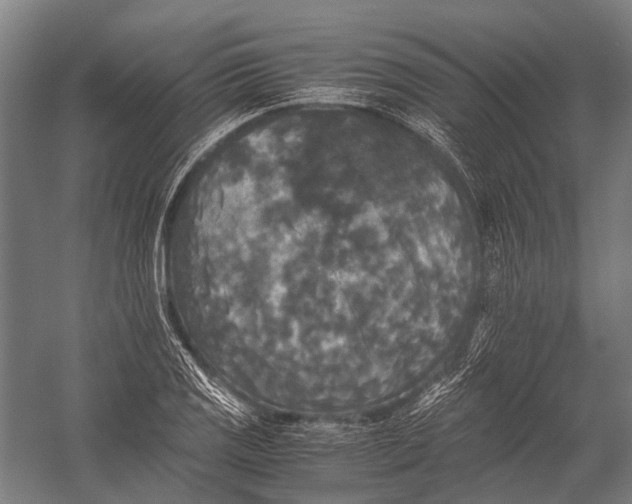 X0000052921125200507292319
