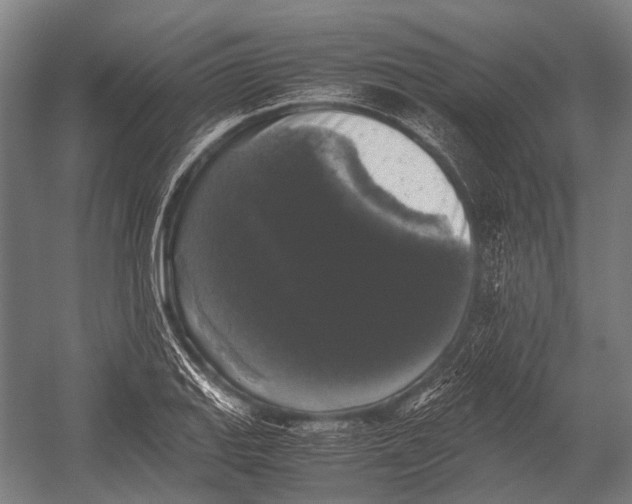 X0000052921127200507292319