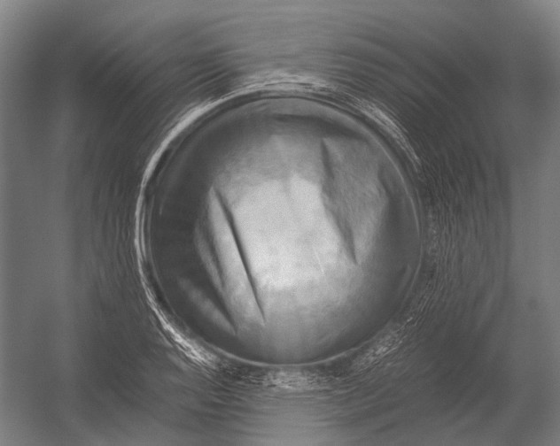 X0000052921128200507292319