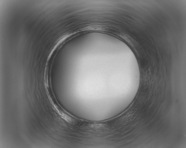 X0000052921131200507292319