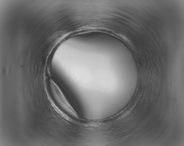X0000052921134200507292319
