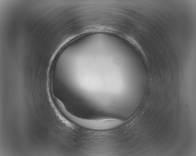 X0000052921136200507292319