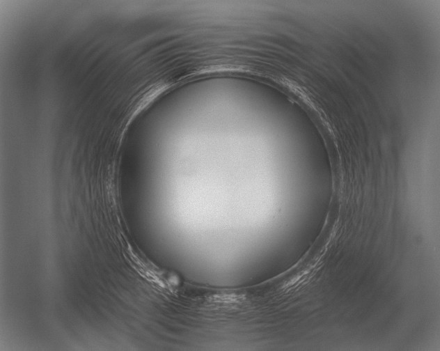 X0000052921137200507292319