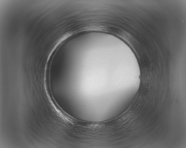X0000052921139200507292319