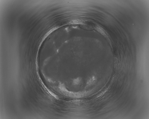 X0000052921141200507292319