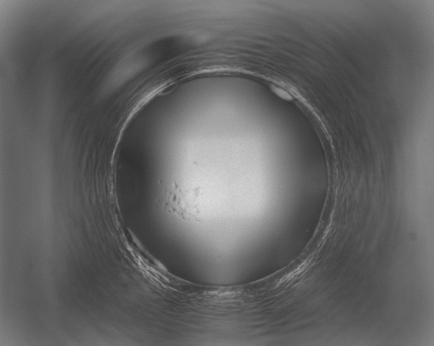 X0000052921145200507292319