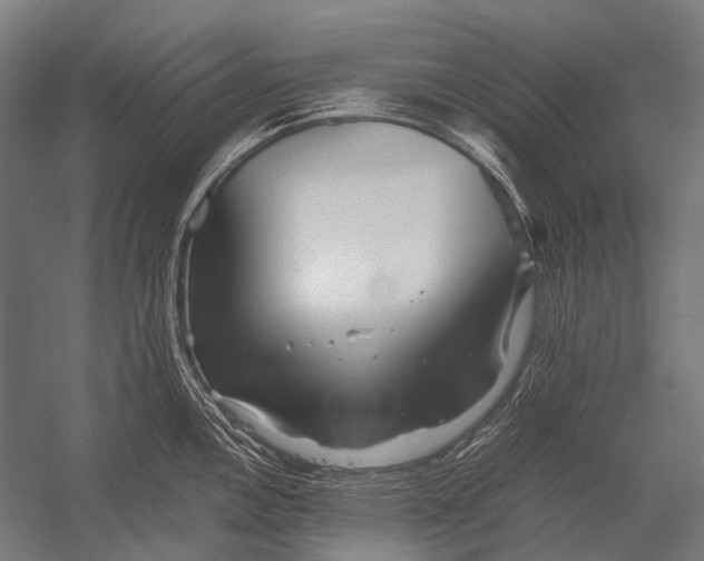 X0000052921146200507292319