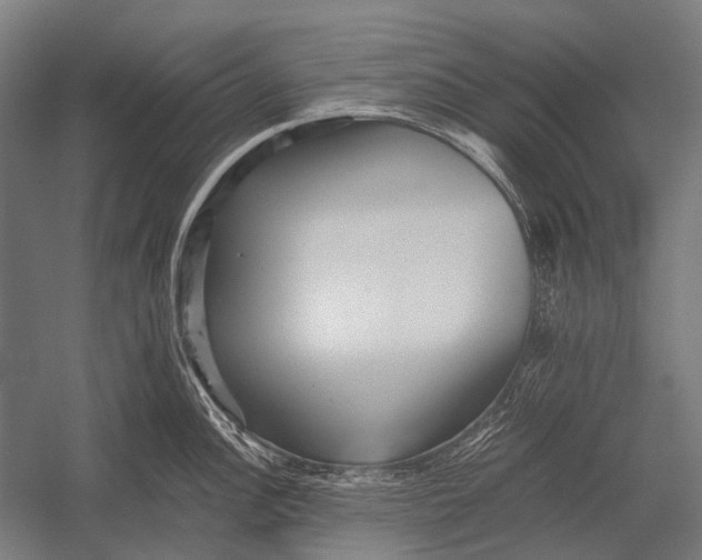 X0000052921148200507292319