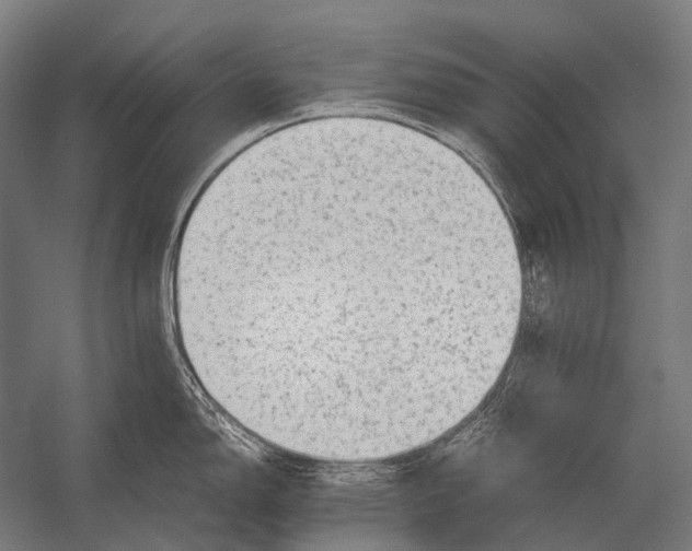X0000052921150200507292319