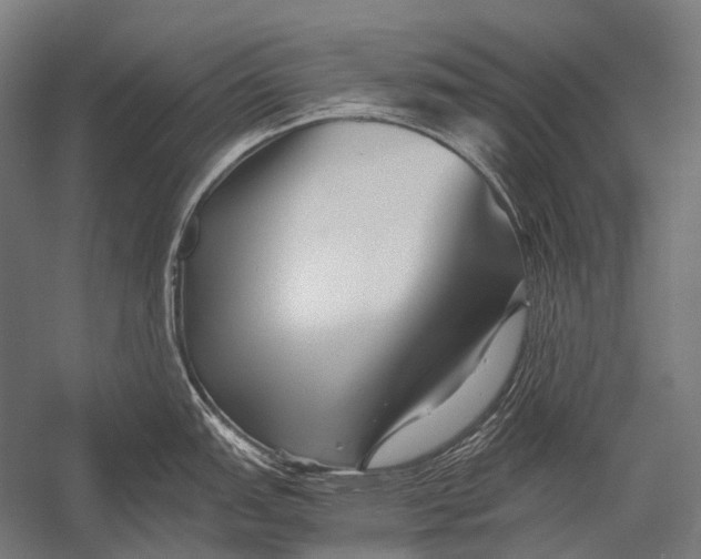 X0000052921151200507292319
