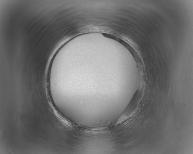 X0000052921152200507292319