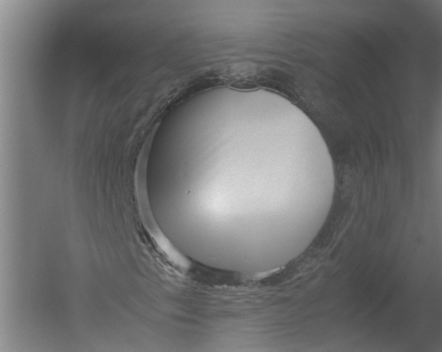X0000052921153200507292318