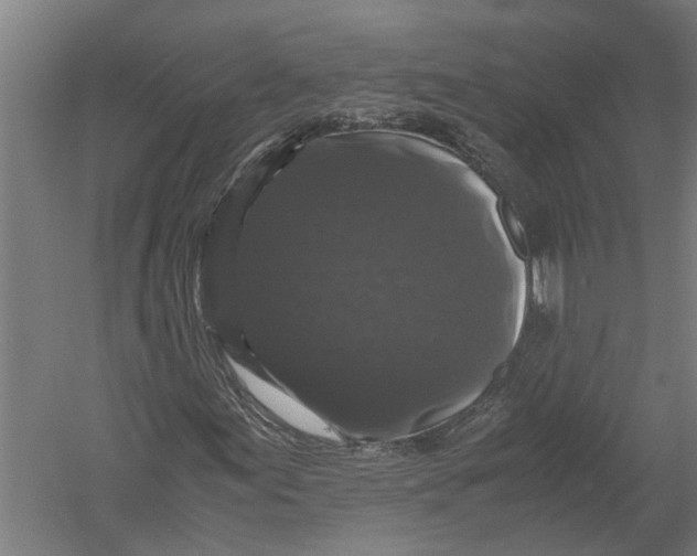 X0000052921155200507292318