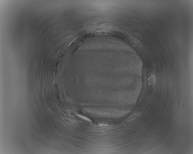 X0000052921156200507292318
