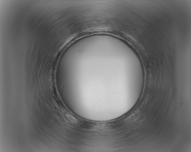 X0000052921162200507292318