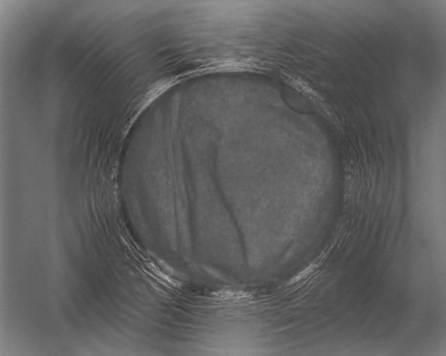 X0000052921170200507292318