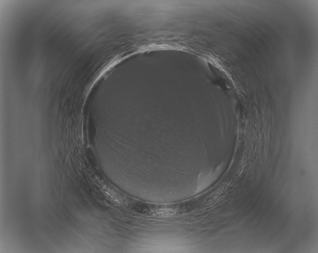 X0000052921173200507292318