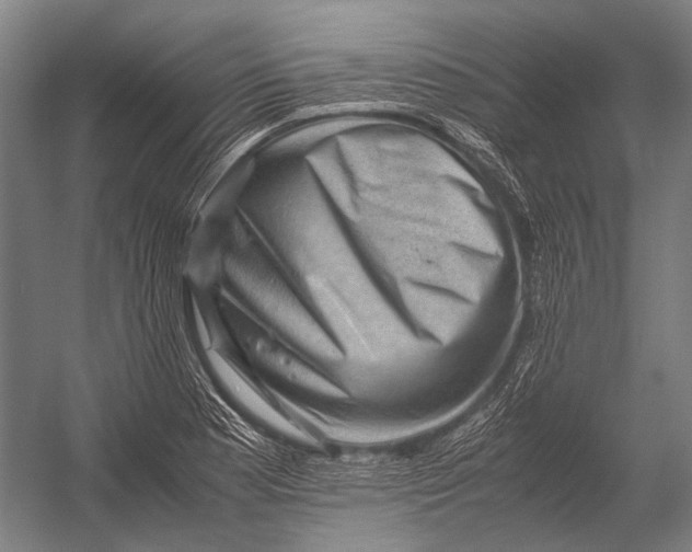 X0000052921177200507292318