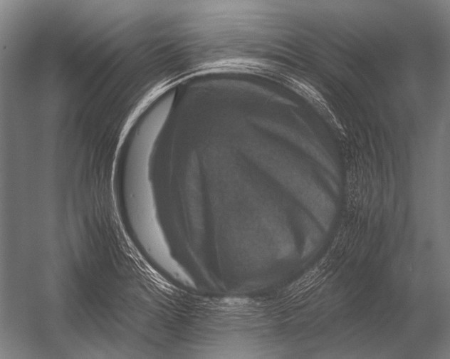 X0000052921180200507292318