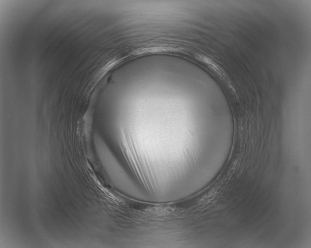 X0000052921185200507292318