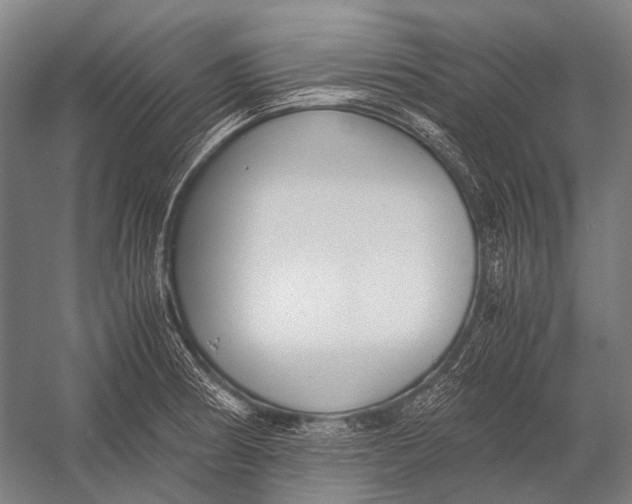 X0000052921186200507292318