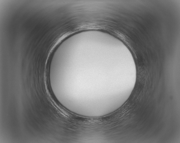 X0000052921187200507292318