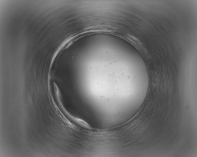 X0000052921188200507292318