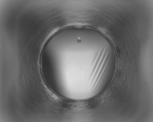 X0000052921189200507292318