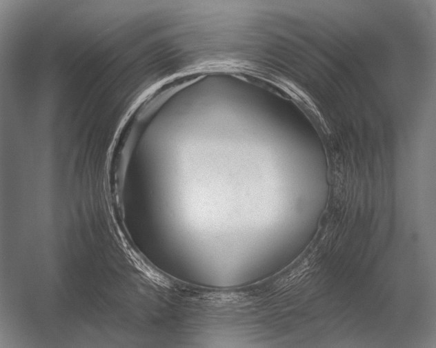 X0000052921192200507292318